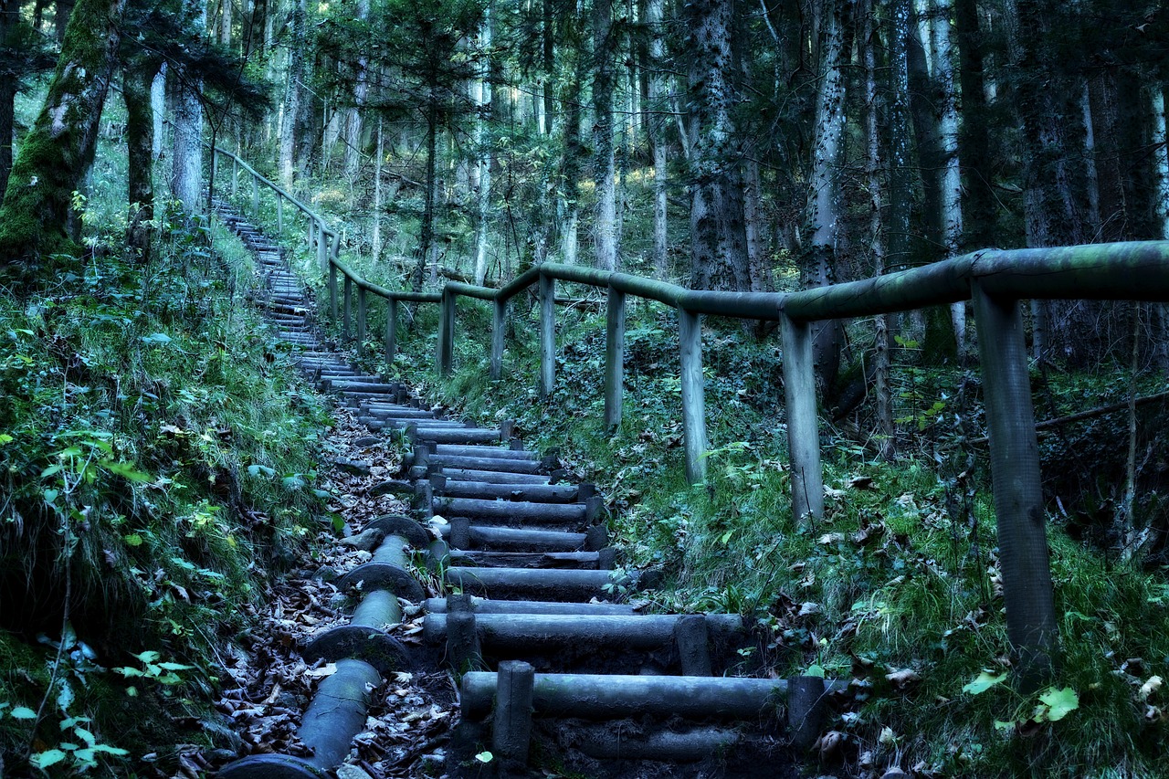 广东省自然温泉探索，寻找温泉之城的温暖秘密